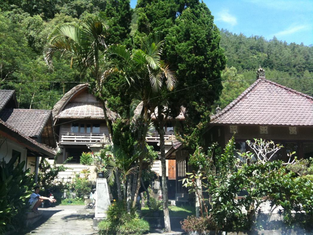 Baruna Lake Side View Kintamani Extérieur photo